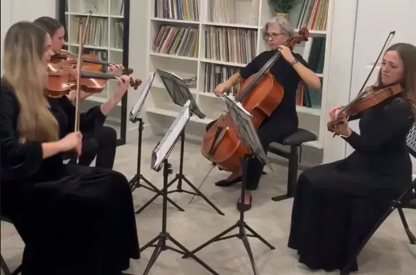 Merino String Quartet in Falls ID